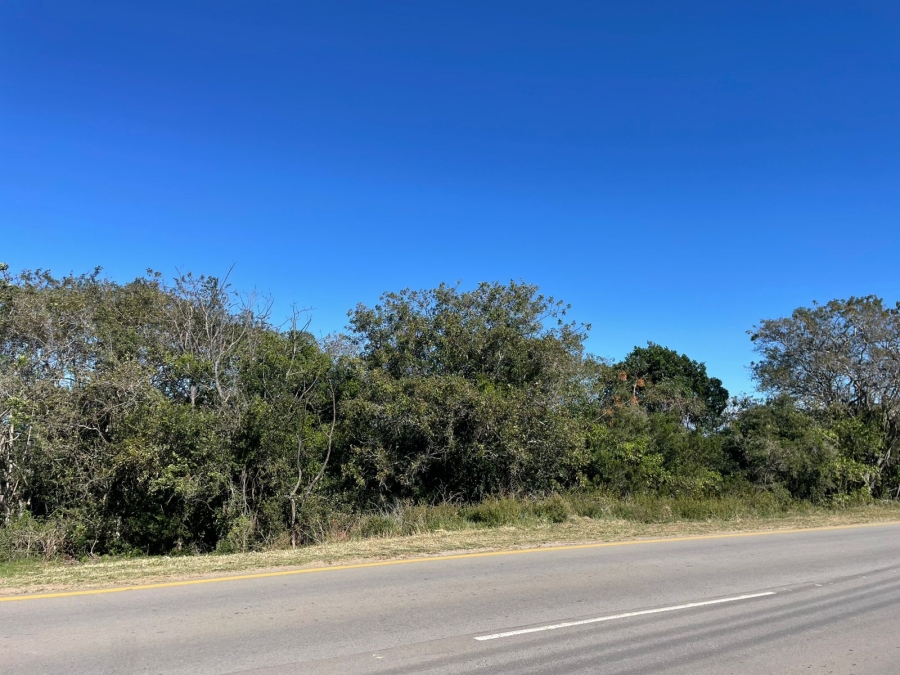 0 Bedroom Property for Sale in Bathurst Eastern Cape